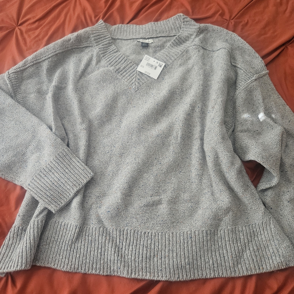 American Eagle Outfitters Light Gray V-Neck Sweater